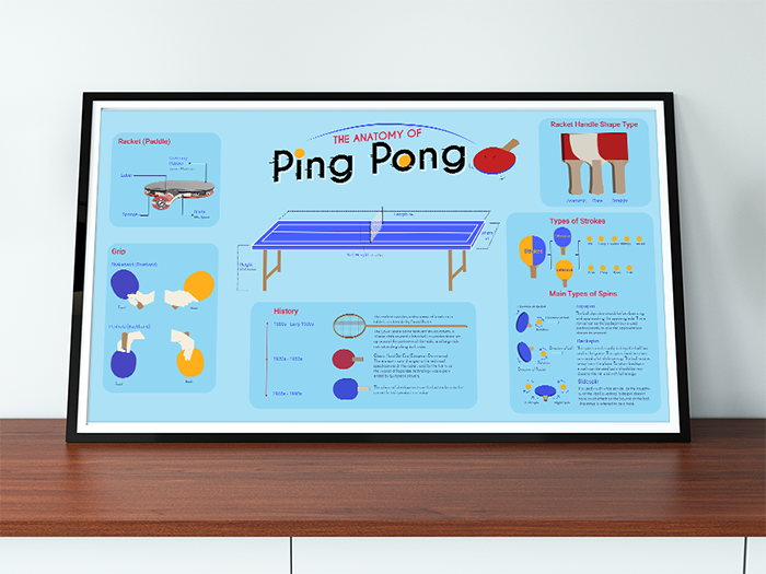 Ping Pong Infographic